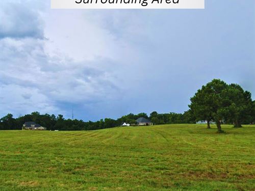 Near River, No HOA, Owner Financing : Roanoke Rapids : Halifax County : North Carolina