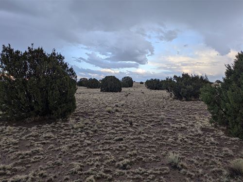 Camp. RV. Mobile Home. Relax. Enjoy : Concho : Apache County : Arizona