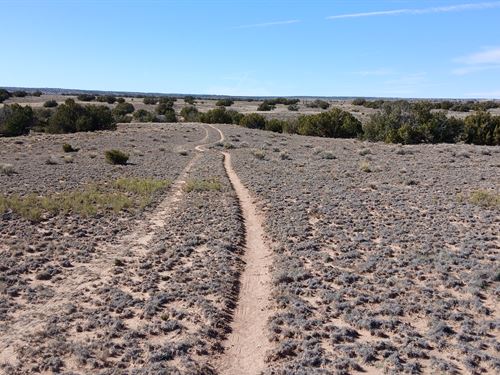 1.29 Acres of Pure Arizona Freedom : Chambers : Apache County : Arizona