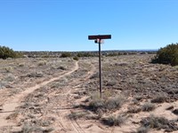 1.29 Acres of Pure Arizona Freedom : Chambers : Apache County : Arizona