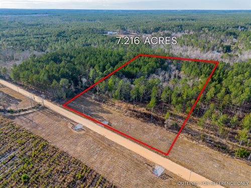 Lot 2, Lanes Creek Farms : Brooklet : Bulloch County : Georgia
