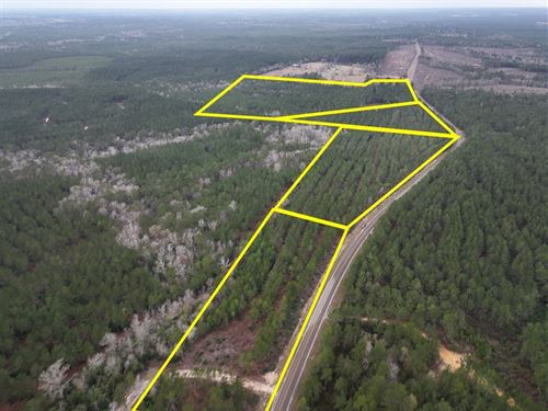 6 Acres, T-4, FM 1012, 02450 : Newton : Texas
