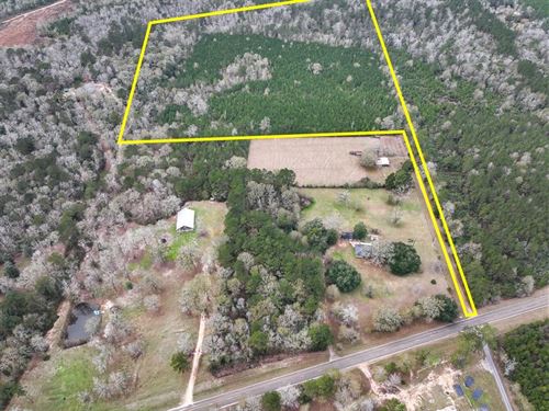 40 Acres, FM 252, 04910 : Kirbyville : Jasper County : Texas