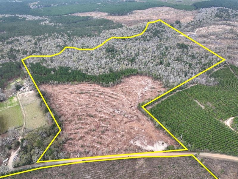 17 Acres, T-4, County Road 4590 : Spurger : Tyler County : Texas