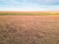 Texas and New Mexico Land Auction : Dora : Roosevelt County : New Mexico