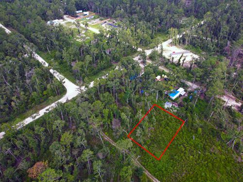 Lot Near Suwannee River Park Estate : Live Oak : Suwannee County : Florida