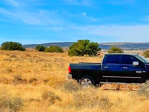 Camp This Week, 5 Miles to St Johns : Saint Johns : Apache County : Arizona