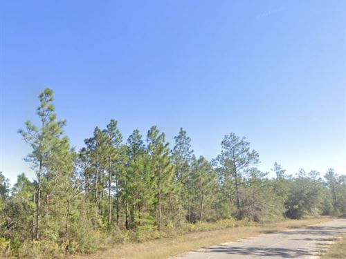 Peaceful, No HOA, Owner Financing : Chipley : Washington County : Florida