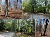 Tract 7 at Skyline Acres : Waverly : Pike County : Ohio