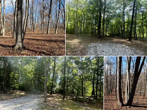 Tract 7 at Skyline Acres : Waverly : Pike County : Ohio