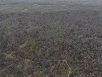 Greenwood Parks 2313, Claiborne Co : Port Gibson : Claiborne County : Mississippi