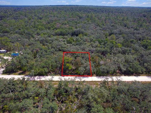 Suwannee Highlands Lot Live Oak : Live Oak : Suwannee County : Florida