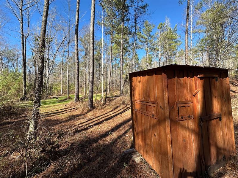 76 Acres in Chilton County, Ala : Maplesville : Chilton County : Alabama