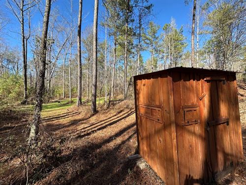 76 Acres in Chilton County, Ala : Maplesville : Chilton County : Alabama