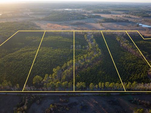 23 Acres, T-5, County Road 4415 : Annona : Red River County : Texas