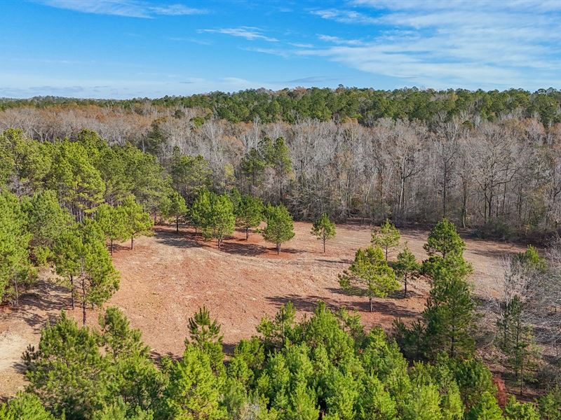 261 Acres, Prime Hunting / Family : Tuskegee : Macon County : Alabama