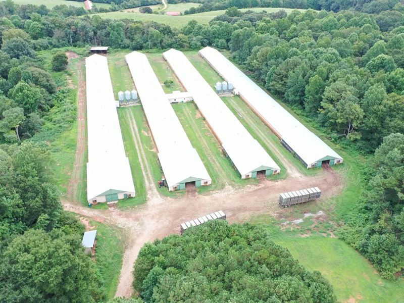 Ebenezer Broiler Farm : Graham : Randolph County : Alabama