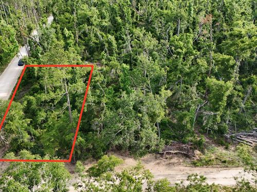 Affordable Lot by River and Parks : Live Oak : Suwannee County : Florida