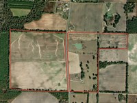 255 Acre Jackson County Farm : Malone : Jackson County : Florida