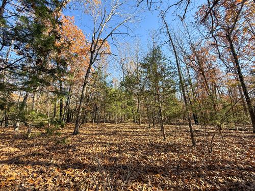 40 Acres M/L in Ozark County MO : Theodosia : Ozark County : Missouri