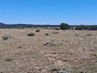 Lots and Land Property for Sale Wal : Walsenburg : Huerfano County : Colorado
