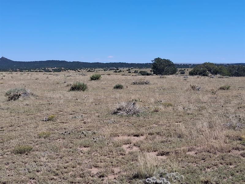 Lots and Land Property for Sale Wal : Walsenburg : Huerfano County : Colorado