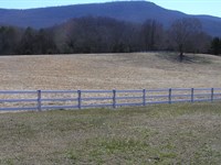 Cattle Farm, Creek, Views, Home : Pikeville : Bledsoe County : Tennessee