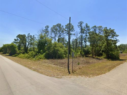 Peaceful, No HOA, Owner Financing : Lehigh Acres : Lee County : Florida