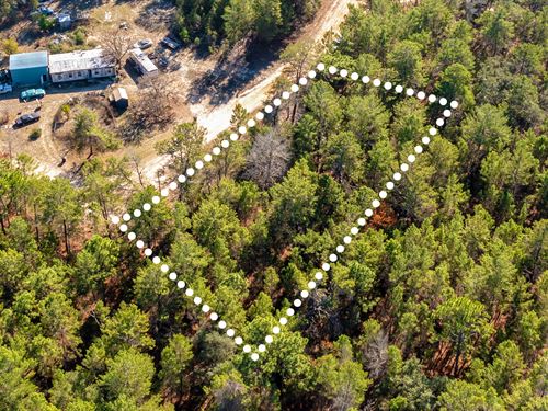 Affordable, No HOA, Owner Financing : Keystone Heights : Clay County : Florida