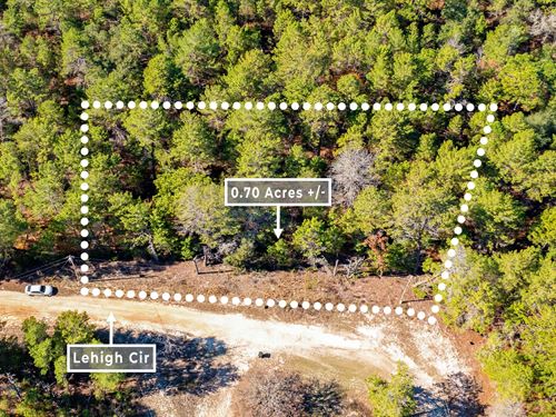 Affordable, No HOA, Owner Financing : Keystone Heights : Clay County : Florida