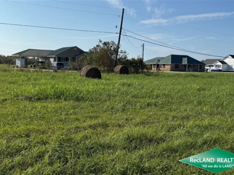 Cleared Lot Near Bayou : Cut Off : Lafourche Parish : Louisiana