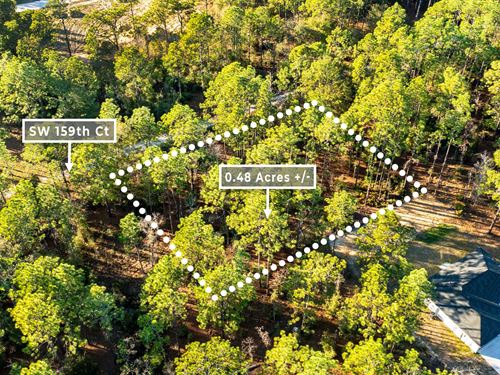 Affordable, No HOA, Owner Financing : Ocala : Marion County : Florida