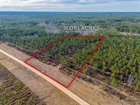 Lot 4, Lanes Creek Farms : Brooklet : Bulloch County : Georgia