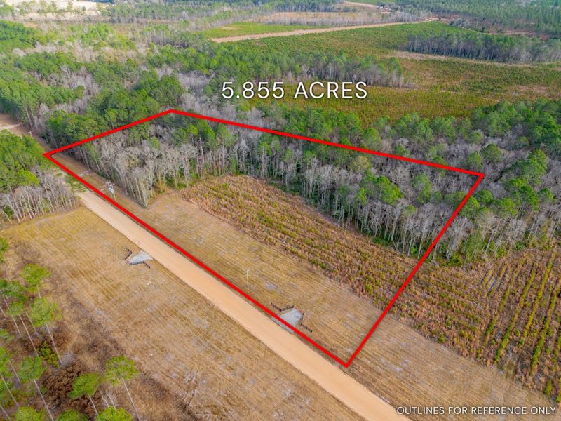 Lot 7, Lanes Creek Farms : Brooklet : Bulloch County : Georgia