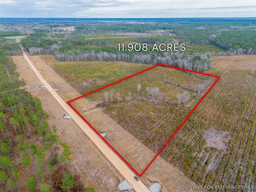 Lot 10, Lanes Creek Farms : Brooklet : Bulloch County : Georgia