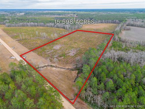 Lot 11, Lanes Creek Farms : Brooklet : Bulloch County : Georgia