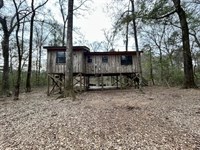 Cabin & 3.85 Acres Pike County / MS : McComb : Pike County : Mississippi