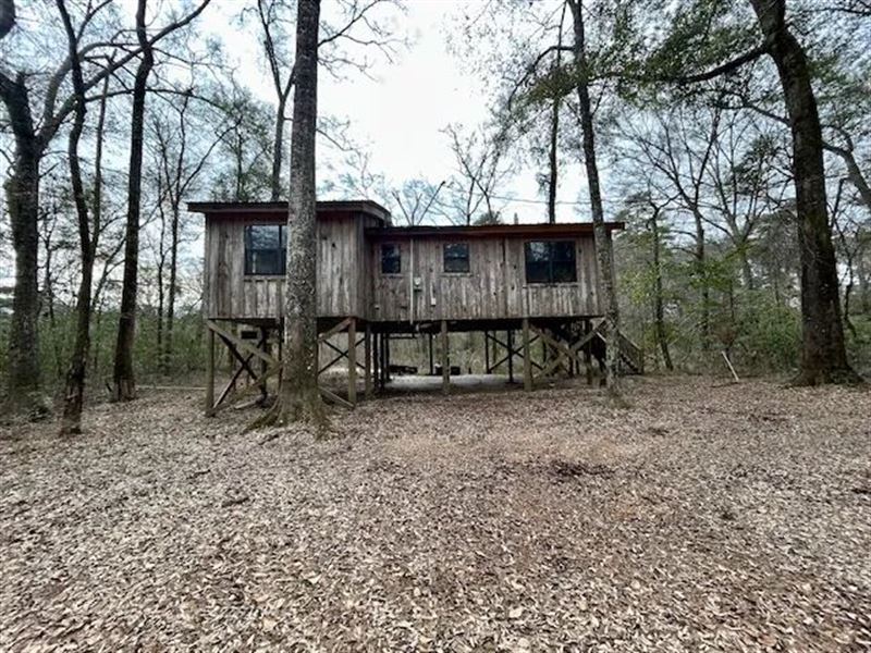 Cabin & 3.85 Acres Pike County / MS : McComb : Pike County : Mississippi