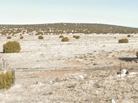 Level Acreage in a Quiet AZ Setting : Concho : Apache County : Arizona