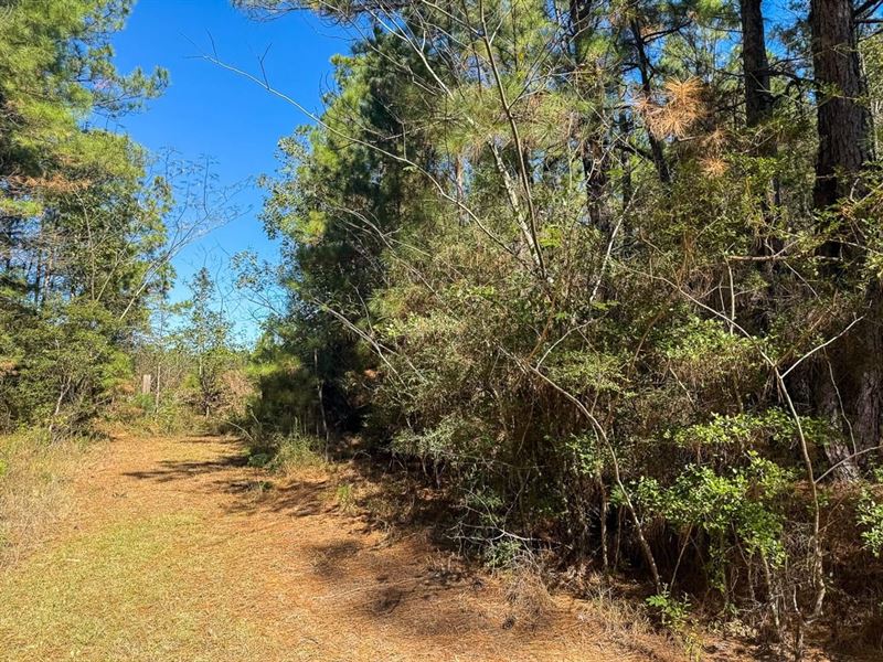 Lot, Chanticlear Drive, Ivanhoe : Ivanhoe : Tyler County : Texas