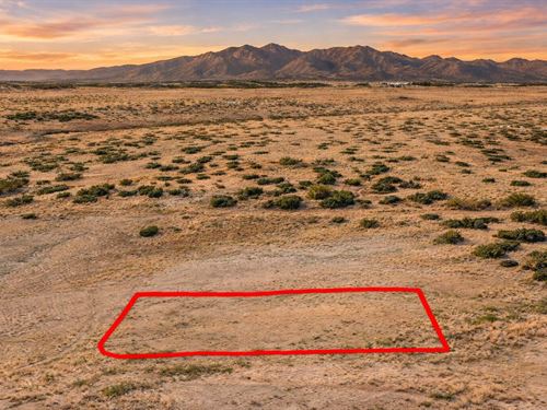 .46 Acre Near Hwy 180, $150/Mo : Concho : Apache County : Arizona