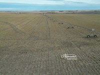 Wallace Pivot Irrigated Farm : Wallace : Lincoln County : Nebraska