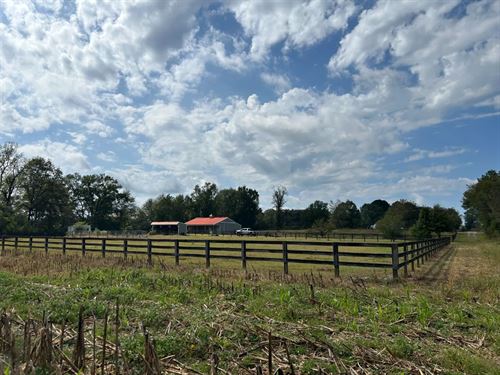 243.3 Acres in Montgomery County : Duck Hill : Montgomery County : Mississippi