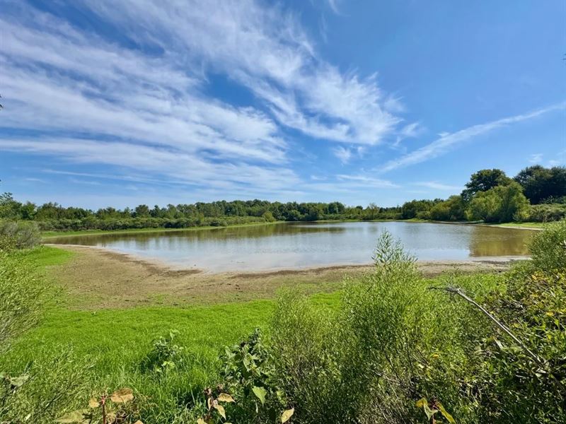 82 Acres in Tallahatchie County : Charleston : Tallahatchie County : Mississippi