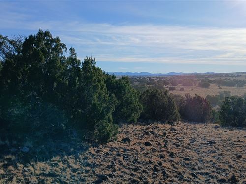 Scenic Concho Lot Near Community : Concho : Apache County : Arizona