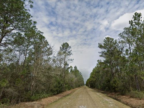 Flat, Buildable Land, $443/Mo : Hastings : Flagler County : Florida