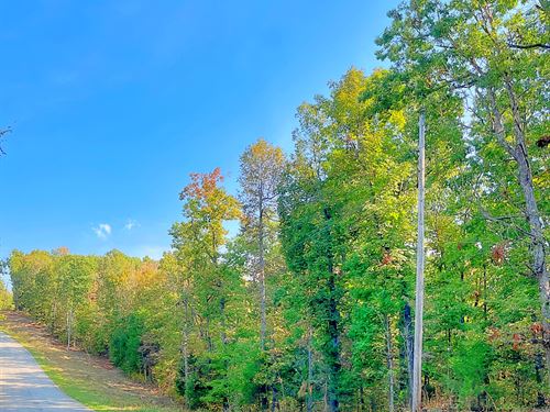 Central Location Near Everything : Horseshoe Bend : Izard County : Arkansas