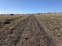 Perfect Desert Retreat in Arizona : Concho : Apache County : Arizona