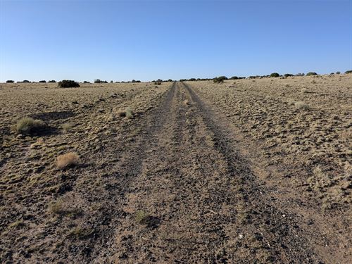 Perfect Desert Retreat in Arizona : Concho : Apache County : Arizona