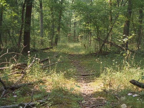 110 Acres, Cherokee County OK : Welling : Cherokee County : Oklahoma